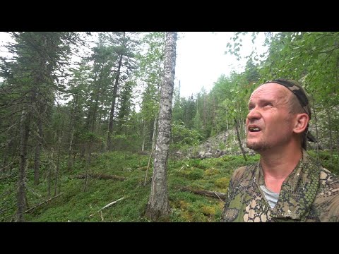 Видео: Ч.1//Выжить в тайге . В одного  от заброшеной базы из Алтая в Хакасию. Массовая атака оводов.