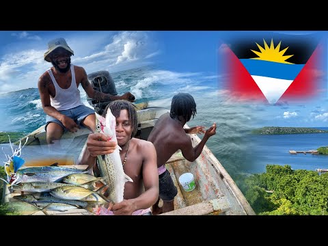 Видео: Доминирование в морях Антигуа и Барбуды (ловля рыбы троллем с необычной приманкой)