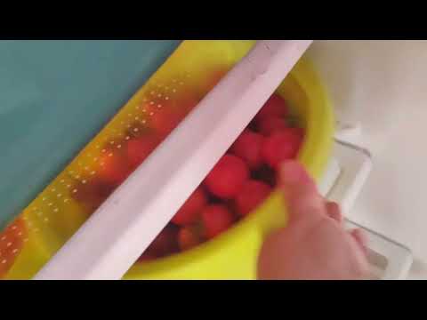 Видео: VLOG Отличная плёнка на окна, поклеили везде. Закрутки, покупки, остатки орхидей в магазине