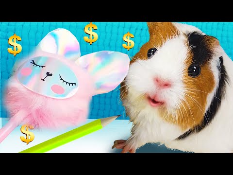 Видео: ДОРОГАЯ vs ДЕШЕВАЯ КАНЦЕЛЯРИЯ к Школе ЧЕЛЛЕНДЖ! РАСПАКОВКА ОТ СВИНКА БУЗЯ