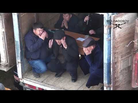 Видео: Алмас мырзынын кокпары. Келес ауданы 02.02.2019 Ч-1