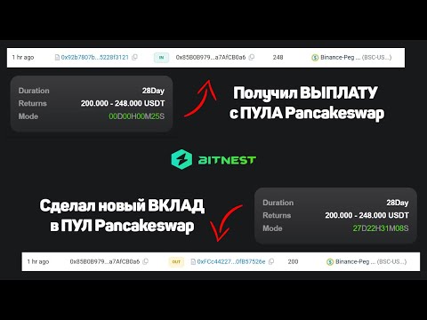 Видео: BITNEST. Получил выплату 248 USDT и сделал новый вклад 200 USDT на 28 дней.