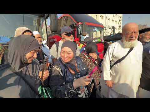 Видео: 4 ноября 2025 г.