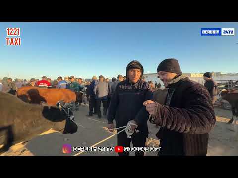 Видео: БЕРУНИЙ СИГИР БОЗОРИ 3 КИСМ 19.10.2025