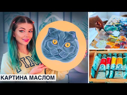 Видео: Рисую Котика Маслом - Картина Маслом Шотландская Кошка  | Как нарисовать Кошку масляными красками