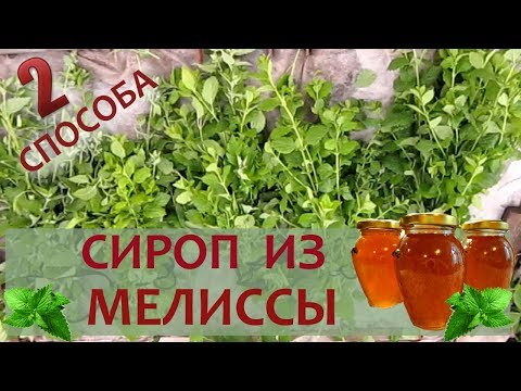Видео: Как сделать вкусный и полезный сироп из мяты (мелиссы)