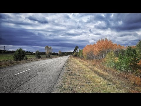 Видео: Вело ПВД. Приготовление еды. Обзор снаряжения.