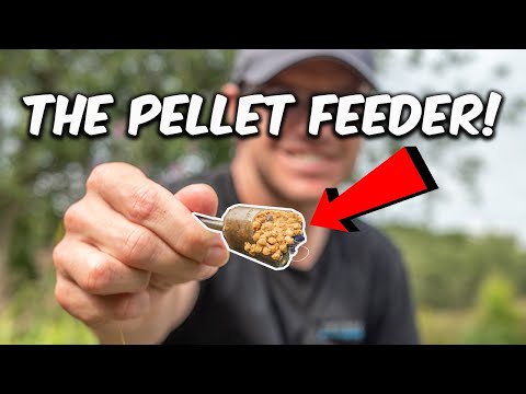 Видео: КОРМОВКА PELLET FEEDER | Самая недооцененная тактика ловли карпа | Я ИХ ОБОЖАЮ!