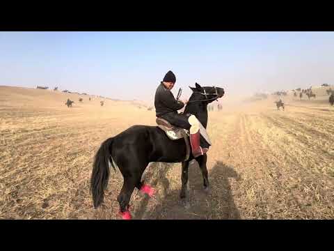 Видео: 10 ноября 2025 г.