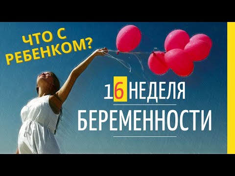 Видео: 16 неделя беременности  Развитие плода  Как себя чувствует беременная  Как выглядит ребенок