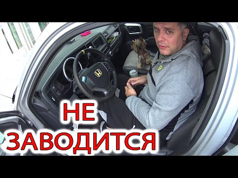 Видео: Сюрприз от автоэлектриков с Дальнего востока, Хонда не заводится