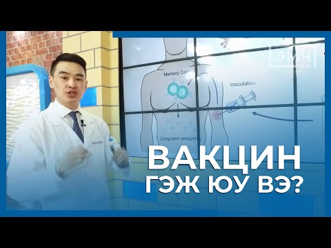 Видео: Вакцин гэж юу вэ? - Цахим Эмч нэвтрүүлэг