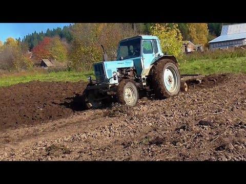 Видео: Пахота на МТЗ 80