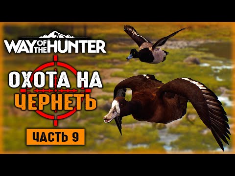 Видео: ОХОТА НА МАЛУЮ МОРСКУЮ ЧЕРНЕТЬ! | Way of the Hunter 🐻 | Часть #9