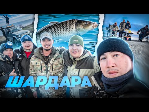 Видео: ШАРДАРА! ДОСТАРМЕН КЕРЕМЕТ ДЕМАЛЫС БОЛДЫ. САЗАН АУЛАУ.