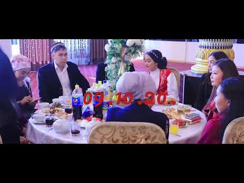 Видео: Тауелибайлык онерпаздар Тамды жастары.