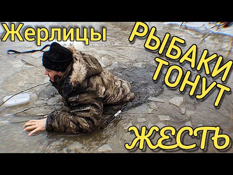 Видео: ТОНКИЙ ЛЁД...РЫБАКИ ТОНУТ! | КАК УГАДАТЬ КЛЁВ ПО КАМЫШУ!? | Ставим жерлицы | Клюёт РОТАН...