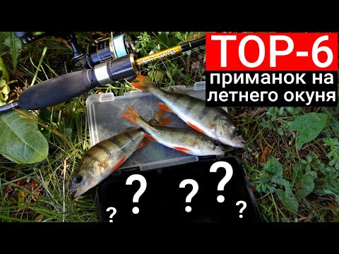 Видео: 6 ОЧЕНЬ УЛОВИСТЫХ ПРИМАНОК И ИХ ПРОВОДКИ, чтобы точно поймать окуня летом. Когда, как и чем ловить?