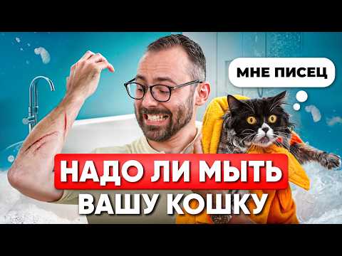 Видео: Как помыть КОТА психа и остаться в ЖИВЫХ. А нужно ли их мыть?