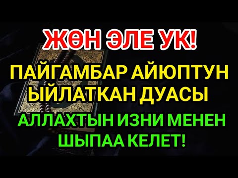 Видео: ЖӨН ЭЛЕ УК! АЙЮП ПАЙГАМБАРДЫН ДУАСЫ МЕНЕН АЙЫГЫП КЕТЕСИҢ 🌙