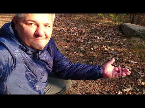 Видео: Щучинск, Пансионат "Жумбактас". Октябрь 2017.