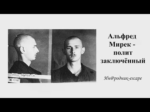 Видео: А. Мирек - политзаключённый / Ин@родник-escape