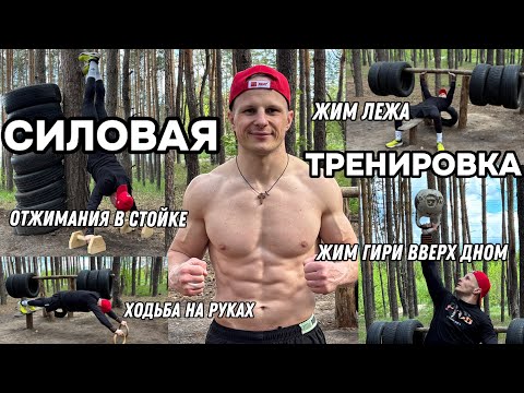 Видео: Тренировка на развитие силы. СИЛОВАЯ ТРЕНИРОВКА.