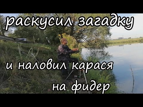 Видео: Ловля КАРАСЯ фидером. Что делать, когда НЕ КЛЮЁТ!