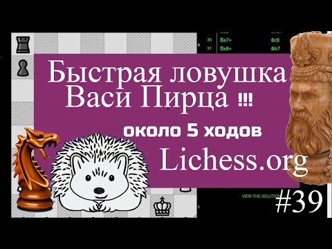 Видео: Быстрая Ловушка Васи Пирца около 5 ходов. Шахматы Lichess.org