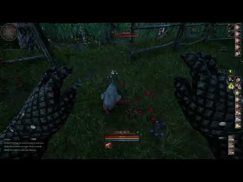 Видео: Mortal Online 2 | Гайд по петам для новичков. Основные принципы и механики