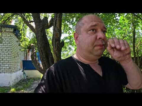 Видео: Пиво #балтикабрюн #singha #жигули и колбаски #балтикаблонд