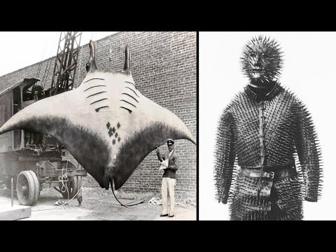 Видео: Исторические Фото, Которые Должен Увидеть Каждый - Часть 2