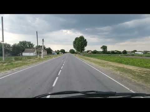 Видео: Новониколаевка, лето 2022