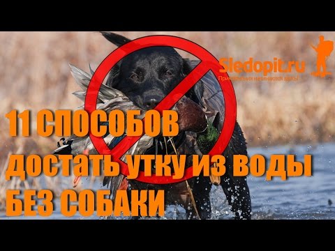 Видео: 11 способов как достать утку из воды без собаки