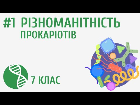 Видео: Різноманітність прокаріотів #1
