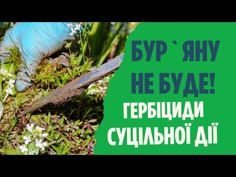 Видео: Як позбутися бур'янів?