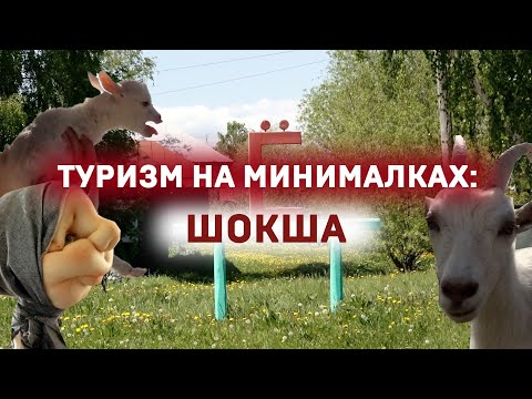 Видео: Туризм на минималках: ШОКША