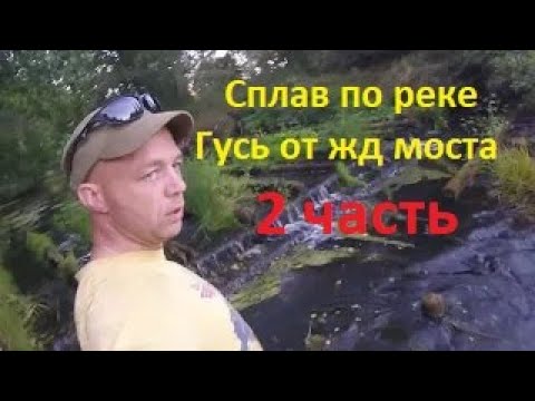 Видео: Сплав по реке Гусь. 2 часть