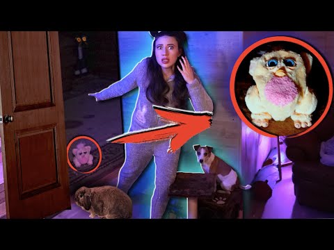 Видео: НОЧЬ В КОМНАТЕ ПИТОМЦЕВ - ЖУТКИЙ ПИТОМЕЦ из Комнаты Призраков | Elli Di Pets