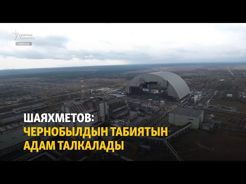 Видео: Шаяхметов: Чернобылдын табиятын адам талкалады