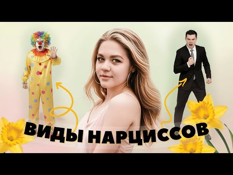 Видео: Виды нарциссов — 3 самых опасных типа