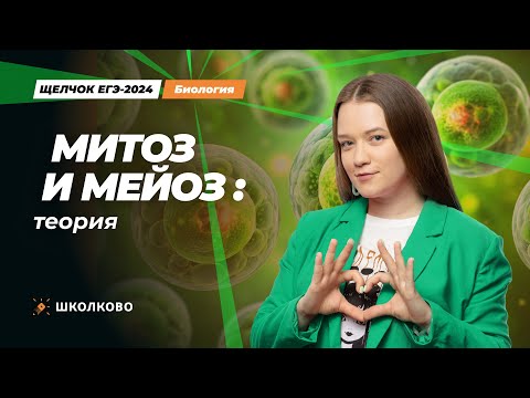 Видео: ЩЕЛЧОК к ЕГЭ 2024 по биологии | Митоз и мейоз: теория