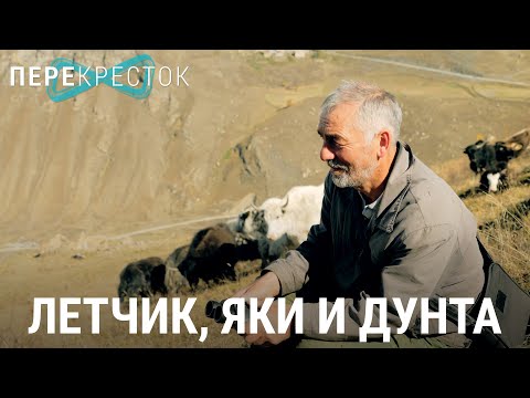 Видео: Лётчик, яки и Дунта | ПЕРЕКРЁСТОК