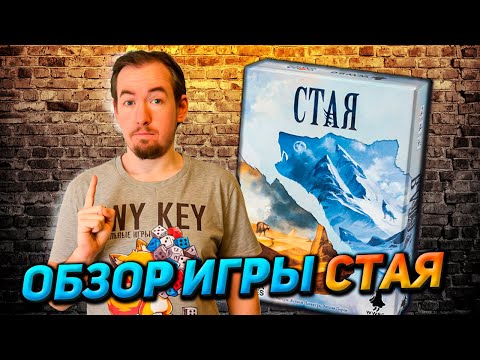 Видео: Обзор игры Стая