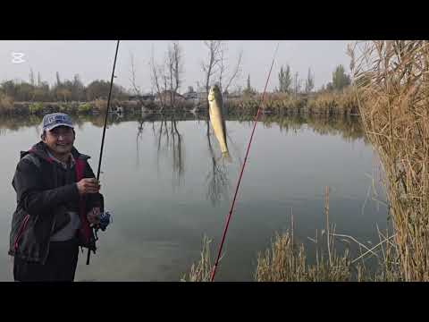Видео: Кайсыл жака барба баары бирдей результат