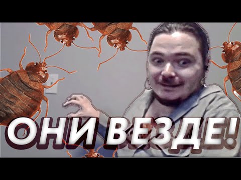 Видео: Маргинал  рассказывает увлекательные истории про клопов