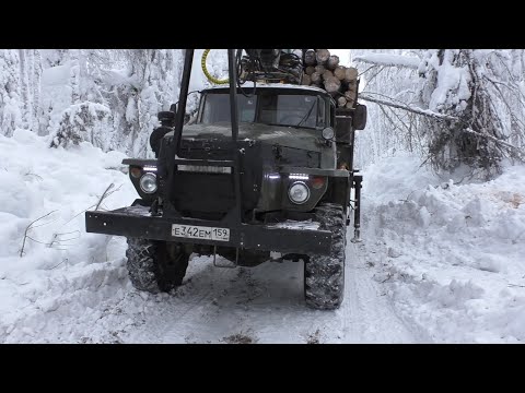 Видео: Первый рейс за лесом через Вишеру. Снега УЖАСНО много.