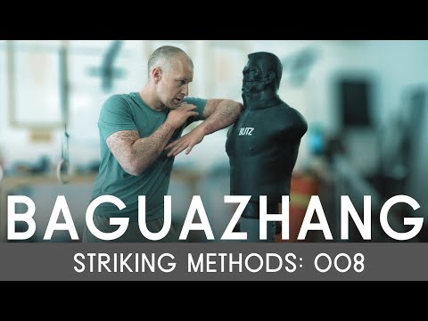 Видео: Метод ударов багуачжан №8 | Единорог наносит быстрые удары