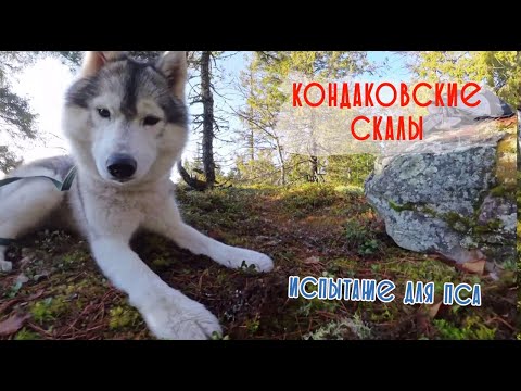 Видео: Исследуем Кондаковские скалы. Часть 1