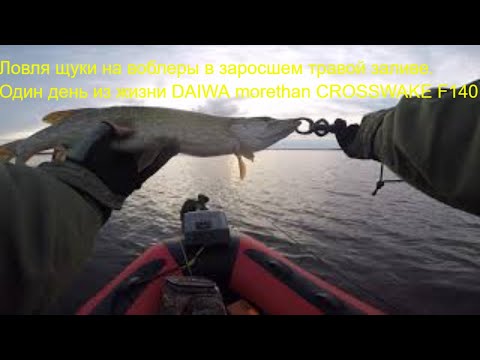Видео: Ловля щуки на воблеры в заросшем травой заливе. Один день из жизни DAIWA morethan CROSSWAKE F 140.